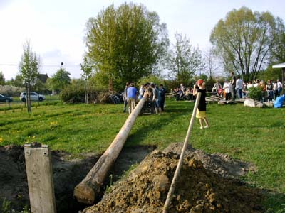 MbaumStel05_14